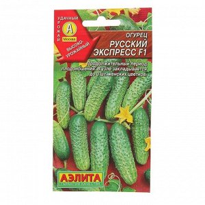 Семена Огурец "Русский экспресс" F1, среднеранний, пчелоопыляемый,  0,3 г
