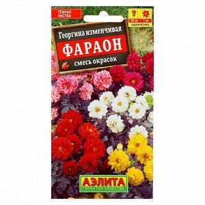 Семена цветов "Аэлита" Георгина "Фараон", смесь окрасок, О, 0,3 г