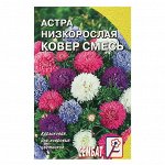 Семена цветов Астра &quot;Ковер&quot;, низкорослая, смесь, 0,2 г