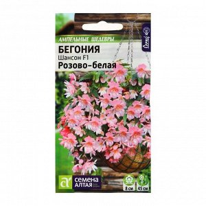 Семена комнатных цветов Бегония Шансон Розово-белая ампельная клубневая, Мн, цп, 5 шт.