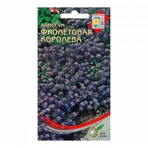 Семена цветов  Алиссум "Фиолетовая королева", 210 шт