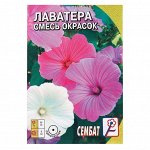 Семена цветов - 3