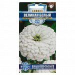 Семена цветов Цинния &quot;Великан белый&quot;, серия Русский богатырь, 0,3 г