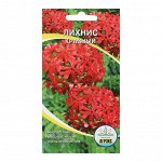 Семена цветов многолетние Лихнис Красный 0,1