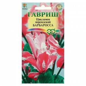 Семена цветов Цикламен "Барбаросса", персидский, 3 шт