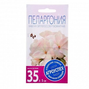 Семена комнатных цветов Пеларгония "Эйплблоссом", 4 шт.
