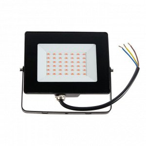 Прожектор светодиодный Smartbuy FL SMD LIGHT, ФИТО, 30 Вт, IP65
