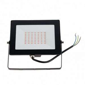 Фитопрожектор светодиодный Smartbuy FL SMD LIGHT, 50 Вт, IP65, 240 В, полноспектральный