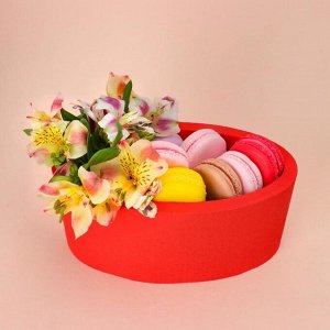 Пенобокс 20*10*10 см кашпо для цветов и подарков "Овал", красный