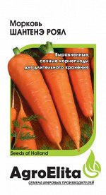 Морковь Шантенэ Роял 1,0 г (BS) Н21 А/э