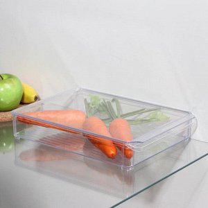 Органайзер для xолодильника с крышкой IDEA, 20?30?5 см, цвет прозрачный