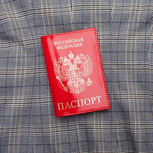 Обложка на паспорт Красный