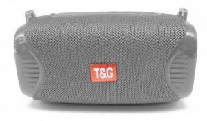 Колонка T&G 532 (серый)