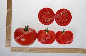 ПАРТНЕР Томат Момбаса F1 ( 2-ной пак.) / Гибриды биф-томатов с массой плода свыше 250 г