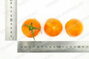 ПАРТНЕР Томат Барокко F1 ( 2-ной пак.) / Гибриды томата с желто-оранжевыми плодами