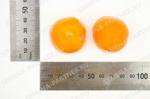 ПАРТНЕР Томат Версаль F1 ( 2-ной пак.) / Гибриды томата с желто-оранжевыми плодами