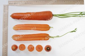 Семена Морковь Страна Чудес F1 ^(1Г)
