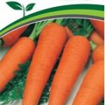 Морковь, свёкла