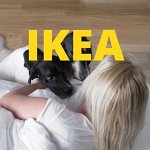 ✔ IKEA 573 Для ваших питомцев Много полезных штук