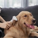 Расчёска для животных, гребень 6 см