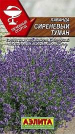 Лаванда Сиреневый туман