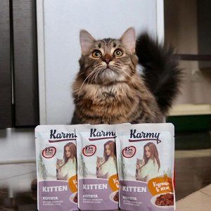 Karmy Kitten курица в соусе. Консервированный корм для котят до 1 года