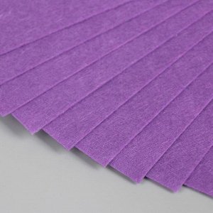 Фетр жесткий 1 мм "Фиолетовый" набор 10 листов формат А4