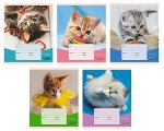 Тетрадь 12л клетка &quot;Игривые котята&quot; ТК127016 Эксмо
