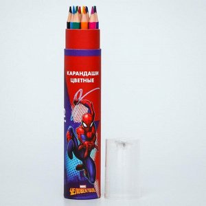 Карандаши цветные с точилкой в тубусе, 12 цветов, "Супергерой", Человек-Паук