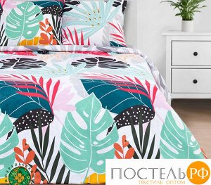 Постельное белье "Этель" дуэт Сolored tropics 143*215 см - 2 шт, 220*240 см, 70*70 см -2 шт