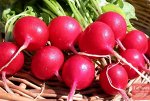 Семена Редис &quot;Жара&quot;