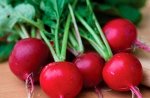 Семена Редис &quot;Бон Пари&quot;