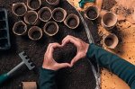 Биогрунт для рассады гибридных семян