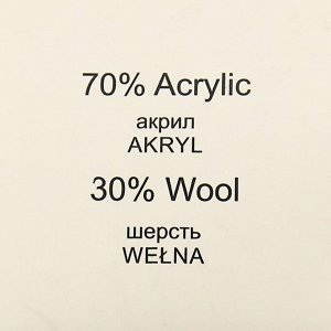 Пряжа "Viking" 30% шерсть, 70% акрил 100м/100гр (4010)