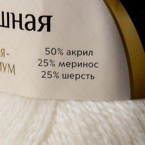 Пряжа "Воздушная" 25%меринос. шерсть, 25%шерсть, 50%акрил 370м/100гр (205 белый)