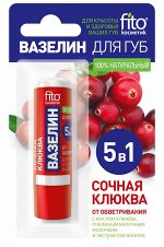 ВАЗЕЛИН для губ &quot;СОЧНАЯ КЛЮКВА&quot; от обветривания 4,5г