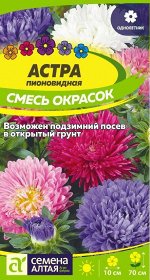 Астра Пионовидная Смесь Окрасок/Сем Алт/цп 0,3 гр.