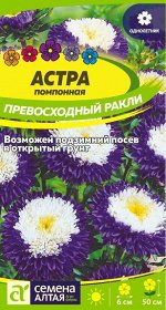 Астра Превосходный Ракли помпонная/Сем Алт/цп 0,2 гр.
