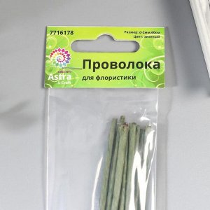 Набор проволоки для флористики d-2 мм, 60 см, 10 шт, зелёный