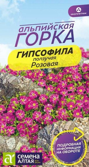 Гипсофила ползучая Розовая/Сем Алт/цп 0,3 гр. многолетник Альпийская горка