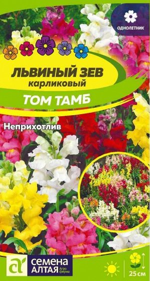 Цветы Львиный зев Том Тамб Карликовый/Сем Алт/цп 0,1гр