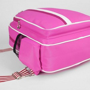 Рюкзак молодёжный, отдел на молнии, 3 наружных кармана, цвет розовый
