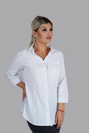Блузка Очень красивая блузка.; В нашей блузке вы будете выглядеть деловито, аккуратно и практично.; Удачный цвет и приятная ткань подчеркнет ваш статус и утонченный вкус.