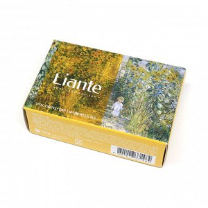 Liante Body Care Adviser Vital Energy Bar Мыло для тела с травами, 85гр