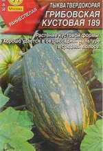 Грибовская кустовая твердокорая А тыква