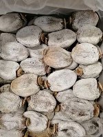 Хурма Армения