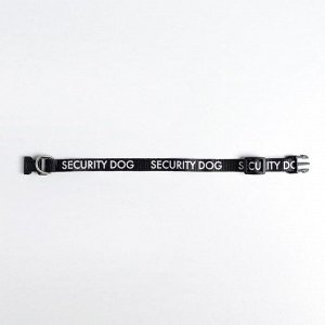 Ошейник двухслойный с фастексом Security dog, 30 х 1 см