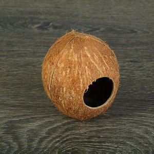 Скорлупа кокосовая целая для рептилий и грызунов, M