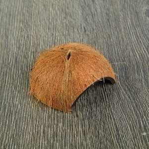 Скорлупа кокосовая 1/2 для рептилий и грызунов, M