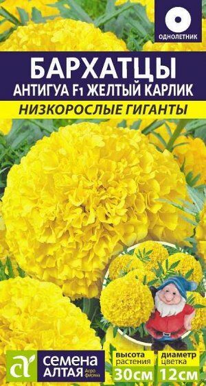 Цветы Бархатцы Антигуа Желтый карлик/Сем Алт/цп 5 шт. Низкорослые гиганты